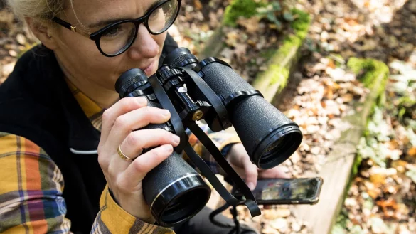 Nicht sicher, welcher Vogel da zwitschert? Die App Merlin Bird ID hilft. - &copy; Christin Klose/dpa-tmn