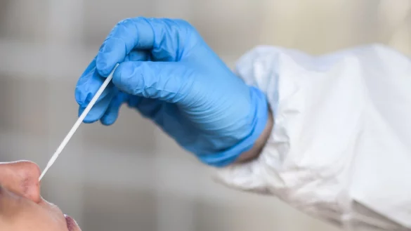 Die meisten Bundesb&uuml;rgerinnen und -b&uuml;rger testeten sich viele Male. - &copy; Kira Hofmann/dpa-Zentralbild/dpa