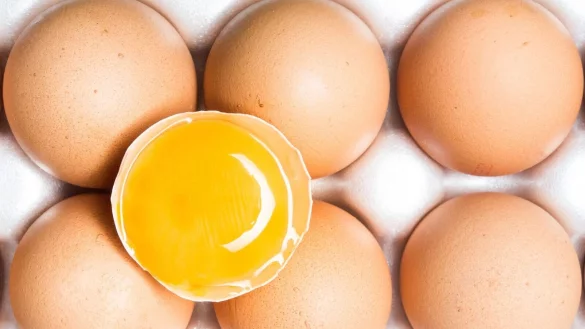 F&uuml;nf Eier-Marken erf&uuml;llten die &laquo;&Ouml;ko-Test&raquo;-Kriterien am besten und erreichten das Pr&auml;dikat &laquo;sehr gut&raquo;. (zu dpa: &laquo;Eier im &Ouml;ko-Test: 5 mal Bestnote, sonst Abz&uuml;ge beim Tierwohl&raquo;) - &copy; Franziska Gabbert/dpa-tmn/dpa