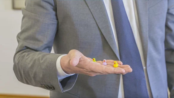 Kleine Entenfiguren werden im Ulmer Rathaus versteckt. - &copy; Jason Tschepljakow/dpa