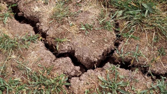 Pro Hektar k&ouml;nnten im Boden bis zu 15 Tonnen Kleinlebewesen vorhanden sein, sagte der BUND-Vorsitzende Olaf Bandt. Die Artenvielfalt sei enorm. - &copy; Daniel Vogl/dpa