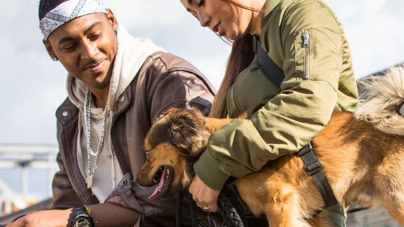 Das Tierwohl und die Bezugsperson spielen eine entscheidende Rolle beim Sorgerecht f&uuml;rs Haustier. - &copy; Christin Klose/dpa-tmn/dpa