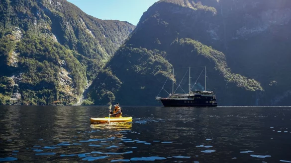 Ausflug im Padelboot im Crooked Arm. Die &laquo;Fiordland Navigator&raquo; wartet derweil. - &copy; Florian Sanktjohanser/dpa-tmn
