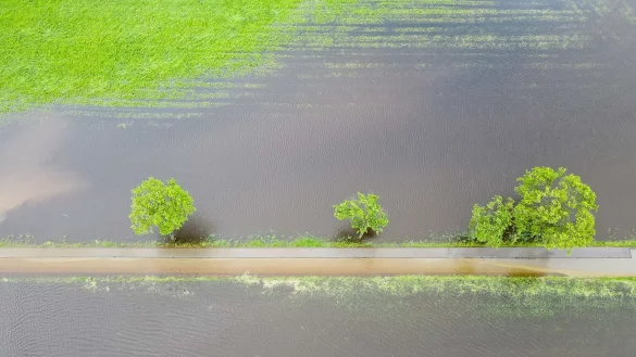 Ganze Wiesen und Felder sind nach den anhaltenden Regenf&auml;llen &uuml;berschwemmt. Das hat auch Folgen f&uuml;r die Landwirtschaft. - &copy; Marius Bulling/onw-images/dpa