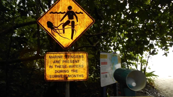 Schilder warnen vor giftigen Quallen: Normalerweise leben Irukandjis eher in tropischeren Gew&auml;ssern im hohen Norden. Nun sorgen sie f&uuml;r Probleme auf der australischen Urlaubsinsel K\'gari (fr&uuml;her Fraser Island). - &copy; Carola Frentzen/dpa
