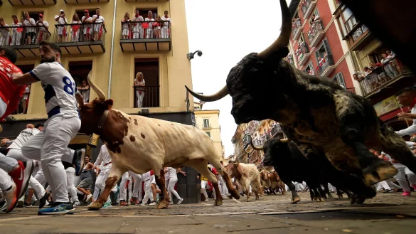 Besonders die Kurven auf der mehr als 800 Meter langen Laufstrecke sind gef&auml;hrlich, weil dort Menschen und Tiere leicht st&uuml;rzen. - &copy; Alvaro Barrientos/AP