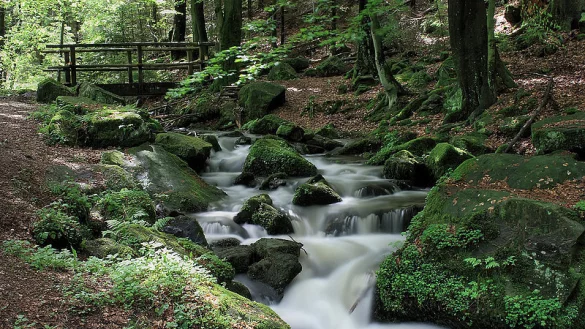 Wer einmal im Teutoburger Wald war, kommt wieder. - &copy; FOTO: OWL-MARKETING