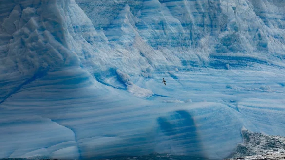 Ein Gletscher im Weddellmeer: Nachdem der aktuelle Vogelgrippe-Ausbruch die Antarktis erreicht hat, bef&uuml;rchten Umweltexperten ein Massensterben von Seev&ouml;geln. - &copy; John Weller/dpa