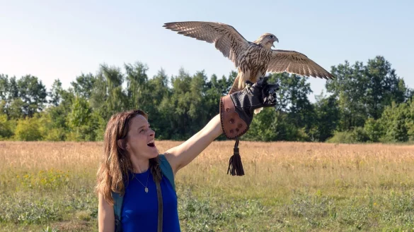 Inga (Anne Ratte-Polle) &uuml;bt im Freien mit ihrem Falken Giovanni im TV-Drama &laquo;Mein Falke&raquo;. - &copy; Frederic Batier/Provobis Film/NDR/Arte/dpa