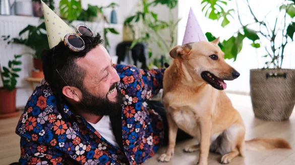 F&uuml;r Hunde nicht immer ein Grund zu feiern: Silvester. Denn vielen Tieren machen B&ouml;ller, Raketen und Co. Angst. - &copy; Angel Santana Garcia/Westend61/dpa-tmn