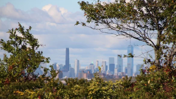 Die Skyline von Manhattan, im Vordergrund das Naturschutzgebiet Jamaica Bay Wildlife Refuge. - &copy; Christina Horsten/dpa
