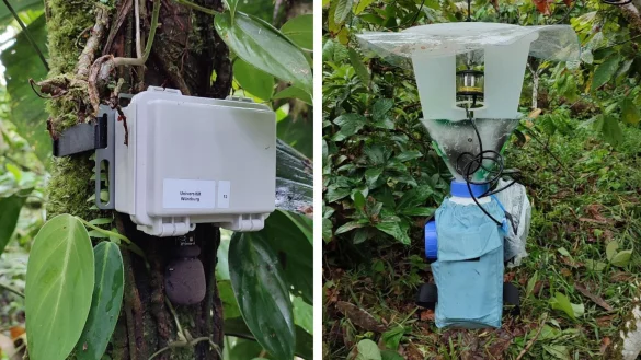 Soundrekorder (l) und automatische Lichtfalle zur Erfassung von Tierstimmen und Nachtinsekten. - &copy; Annika Busse/Springer Nature/dpa