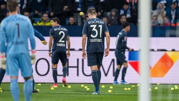 In Bochum flogen aus Protest Tennisb&auml;lle auf den Rasen. - &copy; David Inderlied/dpa