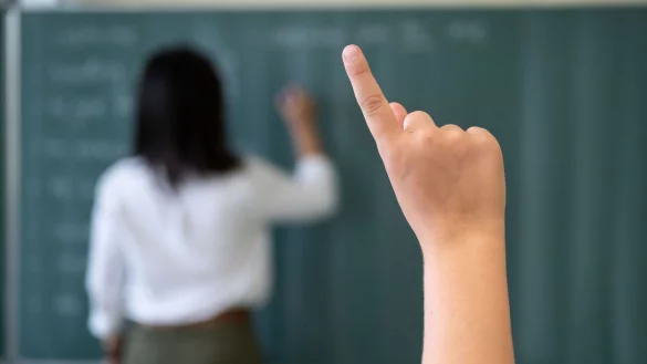 Die Pisa-Studie ist die gr&ouml;&szlig;te internationale Schulleistungsvergleichsstudie. Es werden die Kompetenzen von 15-j&auml;hrigen Jugendlichen beim Lesen, in der Mathematik und den Naturwissenschaften erfasst. - &copy; Marijan Murat/dpa