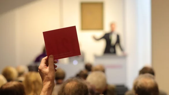 Sie wollen bei einer Auktion mitbieten? Dann m&uuml;ssen Sie das sogenannte Paddel heben. Aber Vorsicht: Die Umgebung einer Versteigerung verleitet dazu, mehr auszugeben, als Sie eigentlich wollten. - &copy; Wolfgang Kumm/dpa/dpa-tmn