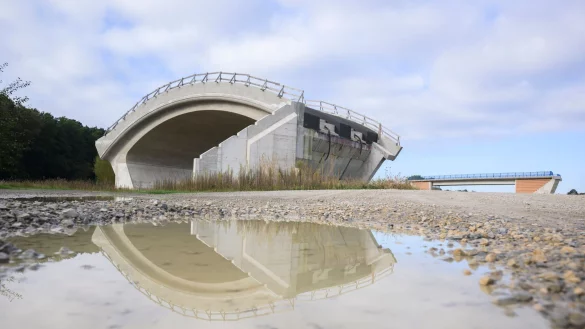 Eine Brücke (hinten) und eine spezielle Fledermausbrücke stehen einem Feld in Celle. Der Bund der Steuerzahler kritisiert in seinem Schwarzbuch die Verschwendung von Steuergeldern. - © Julian Stratenschulte/dpa