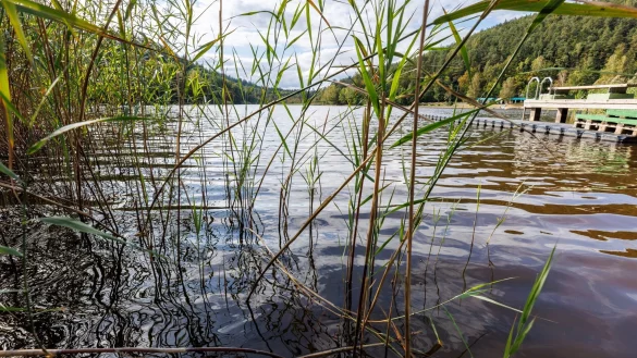 Blick von der Paddlergilde Kaiserslautern auf den See Gelterswoog bei Hohenecken, einem Ortsteil von Kaiserslautern in der Pfalz. - &copy; View/Reiner Vo&szlig;/dpa