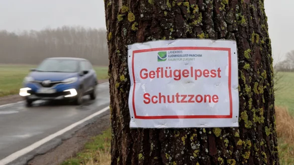 Ein Aushang des Landkreises mit der Aufschrift "Gefl&uuml;gelpest Schutzzone". - &copy; Bernd W&uuml;stneck/dpa
