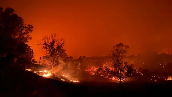 Das Buschfeuer nahe Kempsey nord&ouml;stlich von Sydney. - &copy; -/WOOLGOOLA FIRE AND RESCUE/AAP/dpa