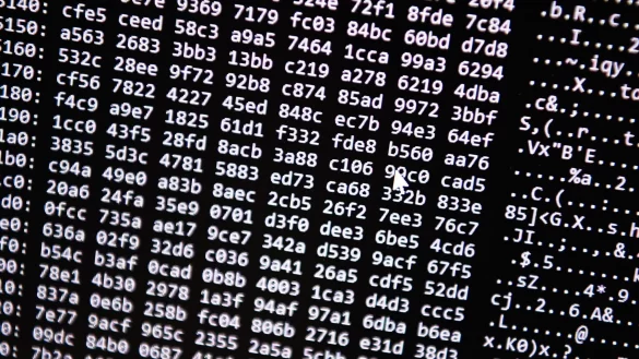 Ein Zahlencode l&auml;uft in der Zentralstelle Cybercrime Bayern (ZCB) &uuml;ber einen Bildschirm. - &copy; Nicolas Armer/dpa