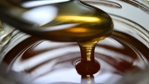 Honig flie&szlig;t von einem L&ouml;ffel in ein Honigglas. - &copy; Karl-Josef Hildenbrand/dpa/Symbolbild