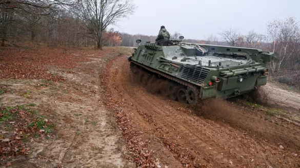 Ein Zivilpanzer verdichtet in Sielmanns Naturlandschaft D&ouml;beritzer Heide Trassen, damit sich dort Pf&uuml;tzen f&uuml;r Urzeitkrebse bilden k&ouml;nnen. - &copy; Jens Kalaene/dpa-Zentralbild/dpa