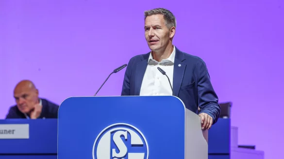 Schalkes Aufsichtsratsvorsitzender Axel Hefer spricht zu den Mitgliedern. - &copy; Tim Rehbein/dpa