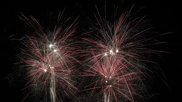 Ein Feuerwerk am Nachthimmel. - © Lars Penning/dpa/Symbolbild