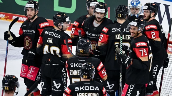 Das DEB-Team hat beim Deutschland Cup in Landshut begeistert. - &copy; Sven Hoppe/dpa