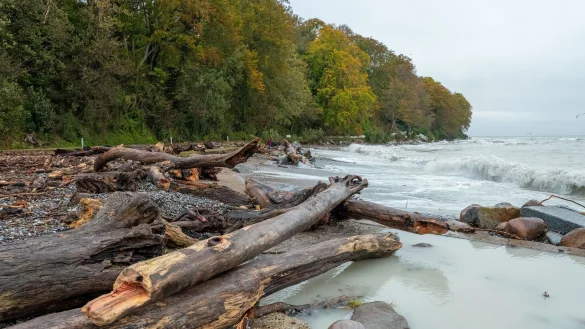 Auf der Strandpromenade in Sassnitz wurde in der Nacht zu Samstag Treibholz angesp&uuml;lt. - &copy; Georg Moritz/dpa