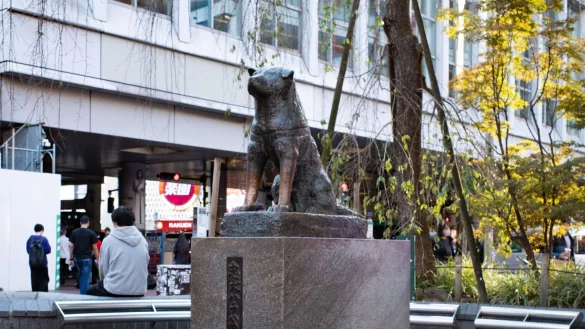 Die Hachiko-Statue am Bahnhof Shibuya in Japans Hauptstadt Tokio. - &copy; Taidgh Barron/ZUMA Press Wire/dpa