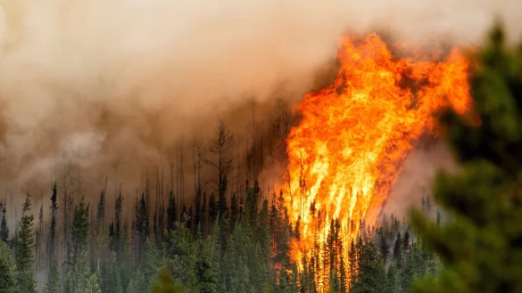 Ein Waldbrand w&uuml;tet nahe Fort St. John in der kanadischen Provinz British Columbia. - &copy; Noah Berger/AP/dpa