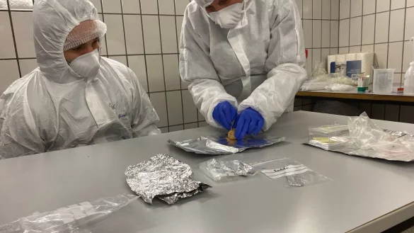 Wie eine Zeitkapsel enthalten Koprolithen Hinweise auf die Produzenten der Exkremente und deren Nahrung: die verdauten Tiere und Pflanzen. - &copy; Yvonne Tafelmaier/Universit&auml;t Konstanz/dpa