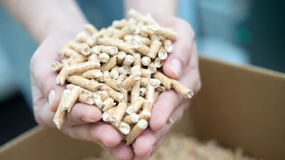 Eine Hand voll W&auml;rme: Die Heizleistung der meisten Holzpellets ist gut. - &copy; Andrea Warnecke/dpa-tmn