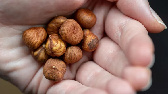 Haseln&uuml;sse entfalten durch R&ouml;sten ihr ganzes Aroma. - &copy; Daniel Karmann/dpa/dpa-tmn