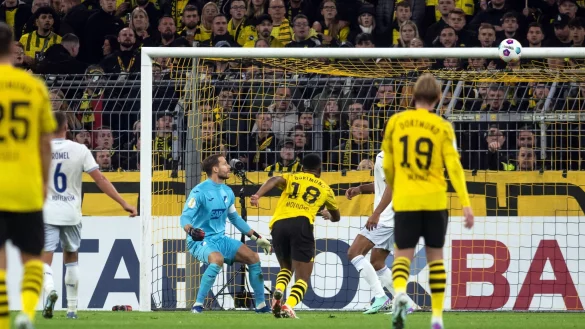 Hoffenheims Torwart Oliver Baumann (Mitte, links) kann das Tor zum 0:1 nicht verhindern. - &copy; Bernd Thissen/dpa