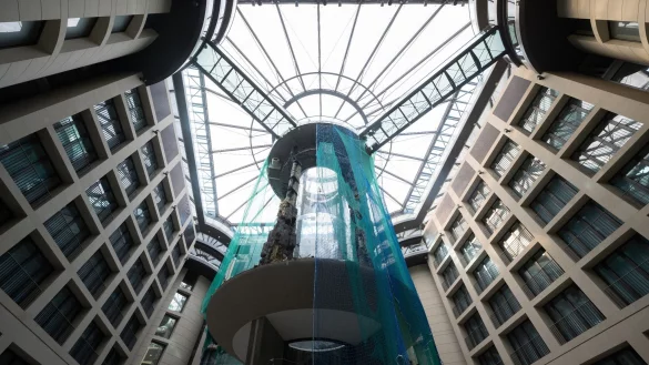 Das Riesenaquarium zerbrach am 16. Dezember 2022 in Hunderte Bruchst&uuml;cke. - &copy; Sebastian Christoph Gollnow/dpa