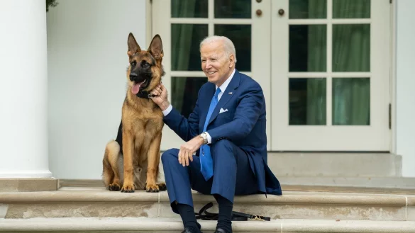 US-Pr&auml;sident Joe Biden und sein Deutscher Sch&auml;ferhund &laquo;Commander&raquo;. - &copy; President Joe Biden/APA Images via ZUMA Press Wire/dpa