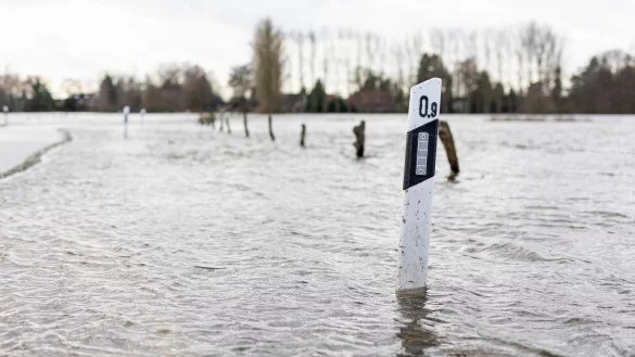 In der Nacht zu Samstag wurde f&uuml;r die Gemeinde Winsen/Aller und die Stadt Celle wegen vermutet steigender Pegelst&auml;nde vor m&ouml;glichen Ausf&auml;llen der Energieversorgung und des Mobilfunks gewarnt. - &copy; Michael Matthey/dpa