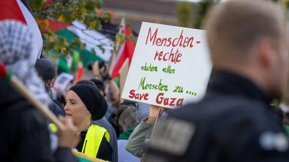 Teilnehmer einer Pro-Pal&auml;stina-Demonstration halten Fahnen und Plakate mit der Aufschrift &laquo;Menschenrechte stehen allen Menschen zu - save Gaza&raquo;. - &copy; Christoph Reichwein/dpa