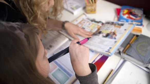 Fallen Schulleistungen ab, kann Nachhilfe helfen: Um Wissenslücken zu schließen, aber auch, um Lernmethoden zu verbessern. - © Silvia Marks/dpa-tmn