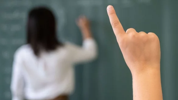 Ein Schüler meldet sich, während die Lehrerin an die Tafel schreibt. - © Marijan Murat/dpa/Symbolbild