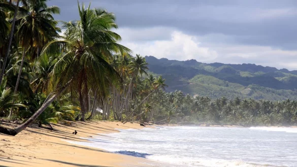 Zu sch&ouml;n um wahr zu sein: Der geplante Karibik-Traumurlaub fiel f&uuml;r einen Mann ins Wasser, weil ein Veranstalter sich im Preis geirrt hatte. - &copy; Manuel Meyer/dpa-tmn