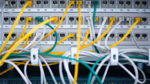 Zahlreiche Netzwerkkabel stecken in einem Büro-Serverschrank. - © Jens Büttner/dpa-Zentralbild/dpa/Symbolbild