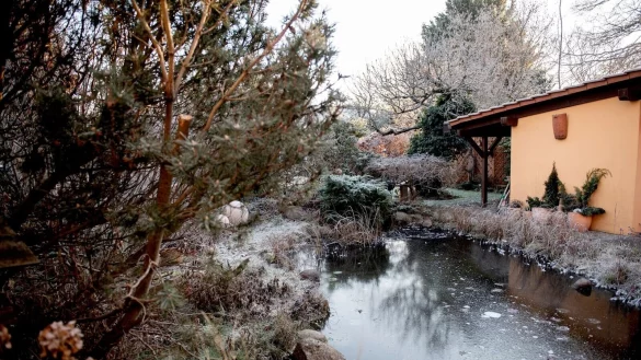 Viele Fischarten k&ouml;nnen auch unter Eis &uuml;berwintern. - &copy; Zacharie Scheurer/dpa-tmn