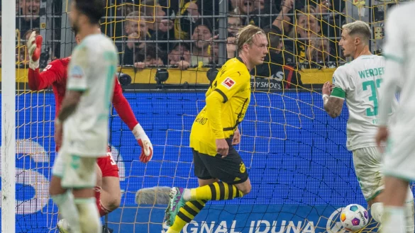 War mit seinem Tor der Dortmunder Matchwinner: Julian Brandt (M). - &copy; David Inderlied/dpa