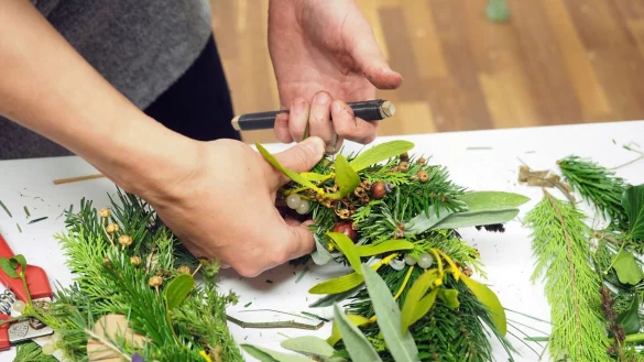 Auch eine M&ouml;glichkeit: die Triebe und Zweige mit Blumendraht fixieren. - &copy; C. Strobl-Lopez/Natur im Garten/dpa-tmn