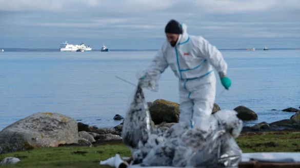 Ein Mann in Schutzkleidung arbeitet am Strand. Bei der vor der südschwedischen Küste feststeckenden Ostseefähre «Marco Polo» (hinten, l) ist erneut Öl ausgetreten. - © Ola Torkelsson/TT News Agency/AP/dpa