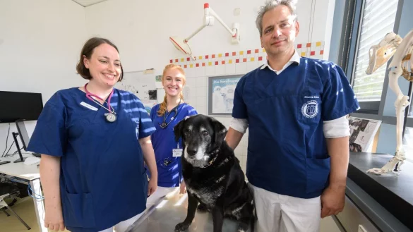 Veterin&auml;rneurologin Nina Meyerhoff, Doktorantin Julia Haake, Doktorantin und Holger Volk, Leiter der Klinik f&uuml;r Kleintiere der TiHo, untersuchen einen Hund mit diagnostizierter Demenz. - &copy; Julian Stratenschulte/dpa