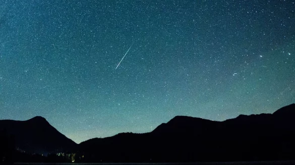 Wie jedes Jahr kreuzt die Erdbahn im November den Meteorstrom der Leoniden. - &copy; Matthias Balk/dpa